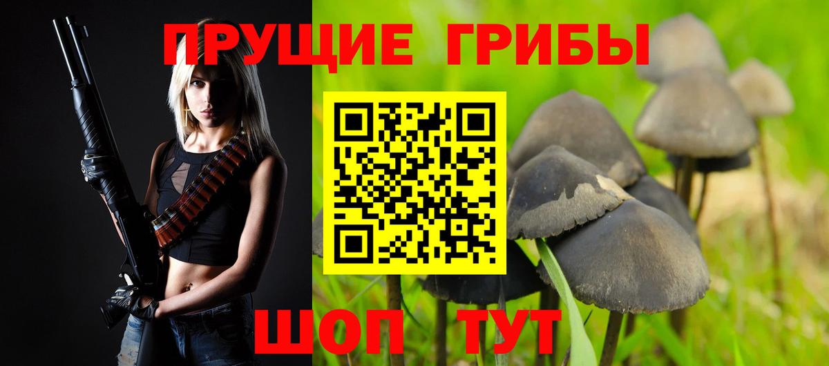 Псилоцибиновые грибы Psilocybine cubensis  Вход с VPN  Владимир 